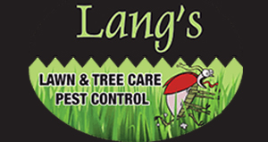 https://dheatbasketball.com/wp-content/uploads/sites/2303/2020/06/langs2-1.jpg